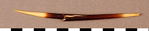 Thumbnail of Quill (1998.19.4975)