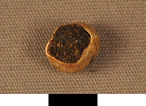 Thumbnail of Stone(?), Ceramic (?) (1998.19.4979)