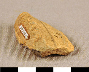 Thumbnail of Body Sherd (2000.01.1011)