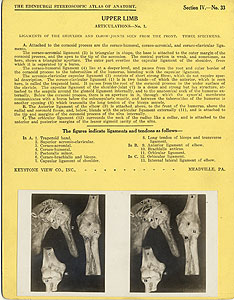 Thumbnail of Stereoscope Cards, Edinburgh Anatomy: Mediastina, Lungs, Upper Limb - Upper Limb, Articulations - No. 1. (2009.10.0002AJ)