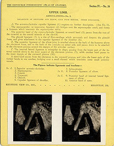 Thumbnail of Stereoscope Cards, Edinburgh Anatomy: Mediastina, Lungs, Upper Limb - Upper Limb, Articulations - No. 2. (2009.10.0002AK)
