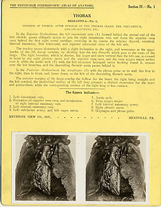 Thumbnail of Stereoscope Cards, Edinburgh Anatomy: Mediastina, Lungs, Upper Limb - Thorax, Mediastina - No. 1. (2009.10.0002D)