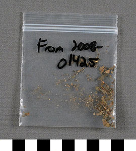 Thumbnail of Bag of Coca Leaves (2010.01.0064B)