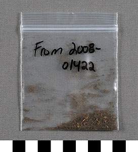 Thumbnail of Bag of Coca Leaves (2010.01.0065B)