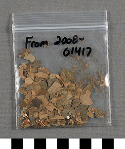Thumbnail of Bag of Coca Leaves (2010.01.0068B)