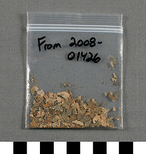 Thumbnail of Bag of Coca Leaves (2010.01.0070B)