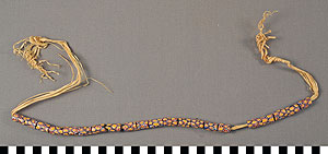 Thumbnail of String of Trade Beads (2012.03.0328)