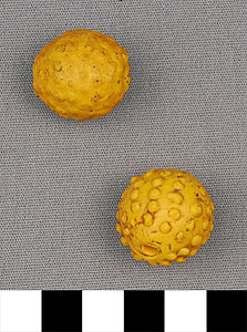 Thumbnail of Two Trade Beads (2012.03.0348)
