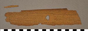 Thumbnail of Page of a Palm Leaf Manuscript (2012.07.0021A)