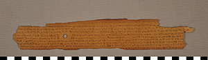 Thumbnail of Page of a Palm Leaf Manuscript (2012.07.0021B)