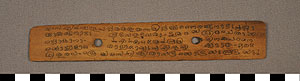 Thumbnail of Page of a Palm Leaf Manuscript (2012.07.0022E)