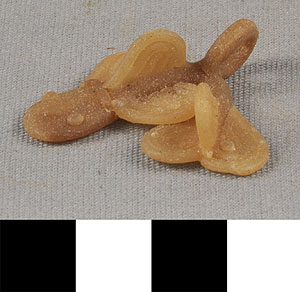 Thumbnail of Gold Weight Mold: Mudfish (2013.05.1001)