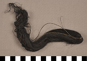 Thumbnail of Sisal Fiber (2013.05.1849)