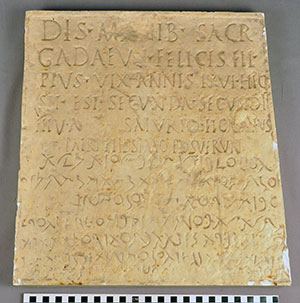Thumbnail of Plaster Cast of Bi-Lingual Funerary Inscription Panel (1900.12.0091)
