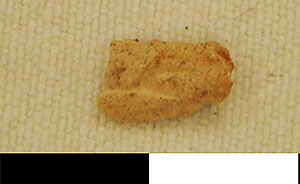 Thumbnail of Cuneiform Tablet Fragments (1913.14.1745P)