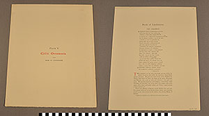 Thumbnail of Folio: Celtic Illuminated Art, Plate Cover V (1916.15.0001AB)