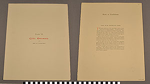Thumbnail of Folio: Celtic Illuminated Art, Plate Cover VI (1916.15.0001AD)