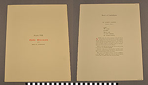 Thumbnail of Folio: Celtic Illuminated Art, Plate Cover VIII (1916.15.0001AG)