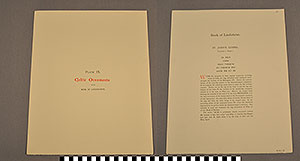 Thumbnail of Folio: Celtic Illuminated Art, Plate Cover IX (1916.15.0001AI)