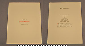 Thumbnail of Folio: Celtic Illuminated Art, Plate Cover X (1916.15.0001AK)