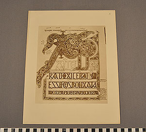 Thumbnail of Folio: Celtic Illuminated Art, Plate x (1916.15.0001AL)