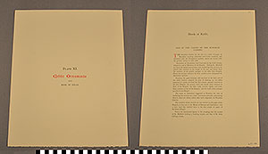 Thumbnail of Folio: Celtic Illuminated Art, Plate Cover XI (1916.15.0001AM)