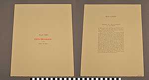 Thumbnail of Folio: Celtic Illuminated Art, Plate Cover XIII (1916.15.0001AQ)