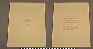 Thumbnail of Folio: Celtic Illuminated Art, Plate Cover XIV (1916.15.0001AS)