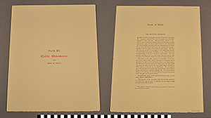 Thumbnail of Folio: Celtic Illuminated Art, Plate Cover XV (1916.15.0001AU)