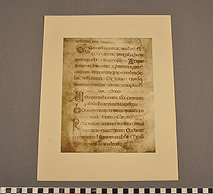 Thumbnail of Folio: Celtic Illuminated Art, Plate XIX (1916.15.0001BD)