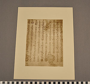 Thumbnail of Folio: Celtic Illuminated Art, Plate XX (1916.15.0001BF)