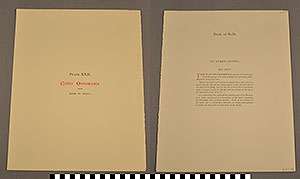 Thumbnail of Folio: Celtic Illuminated Art, Plate Cover XXII (1916.15.0001BI)