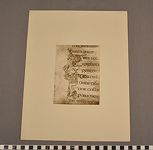 Thumbnail of Folio: Celtic Illuminated Art, Plate XXIII (1916.15.0001BL)