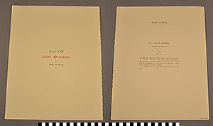 Thumbnail of Folio: Celtic Illuminated Art, Plate Cover XXIV (1916.15.0001BM)