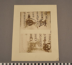 Thumbnail of Folio: Celtic Illuminated Art, Plate XXV (1916.15.0001BP)