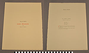 Thumbnail of Folio: Celtic Illuminated Art, Plate Cover XXVI (1916.15.0001BQ)