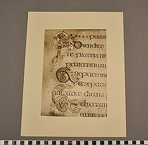 Thumbnail of Folio: Celtic Illuminated Art, Plate XXVI (1916.15.0001BR)