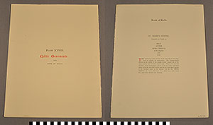 Thumbnail of Folio: Celtic Illuminated Art, Plate Cover XXVIII (1916.15.0001BU)