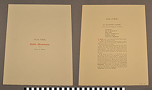 Thumbnail of Folio: Celtic Illuminated Art, Plate Cover XXIX (1916.15.0001BW)