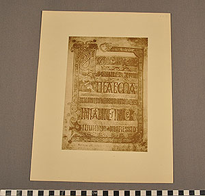 Thumbnail of Folio: Celtic Illuminated Art, Plate XXIX (1916.15.0001BX)