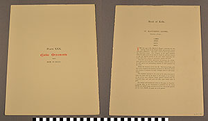 Thumbnail of Folio: Celtic Illuminated Art, Plate Cover XXX (1916.15.0001BY)