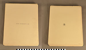 Thumbnail of Folio: Celtic Illuminated Art, Title Page (1916.15.0001C)