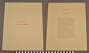 Thumbnail of Folio: Celtic Illuminated Art, Plate Cover XXXIV (1916.15.0001CG)