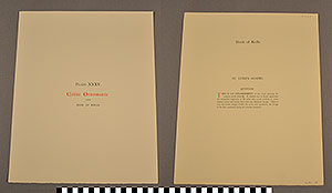 Thumbnail of Folio: Celtic Illuminated Art, Plate Cover XXXV (1916.15.0001CI)