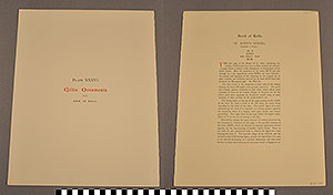 Thumbnail of Folio: Celtic Illuminated Art, Plate Cover XXXVI (1916.15.0001CK)