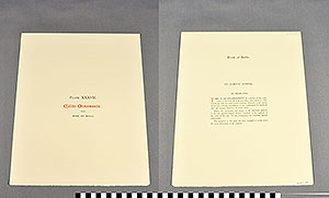 Thumbnail of Folio: Celtic Illuminated Art, Plate Cover XXXVII (1916.15.0001CM)