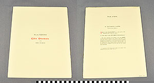 Thumbnail of Folio: Celtic Illuminated Art, Plate Cover XXXVIII (1916.15.0001CO)