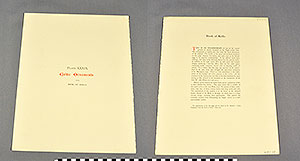 Thumbnail of Folio: Celtic Illuminated Art, Plate Cover XXXIX (1916.15.0001CQ)