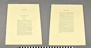 Thumbnail of Folio: Celtic Illuminated Art, Plate Cover XL (1916.15.0001CT)