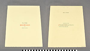 Thumbnail of Folio: Celtic Illuminated Art, Plate Cover XLI (1916.15.0001CV)